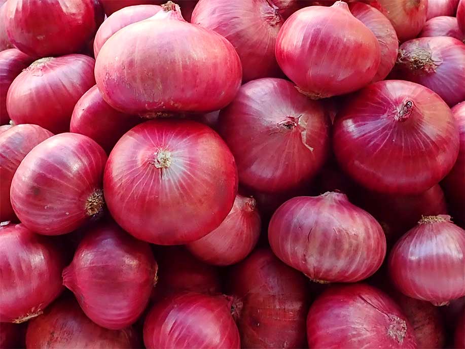 Onion retailing at ₹ 25 per kg: status given by NCCF