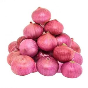 onion