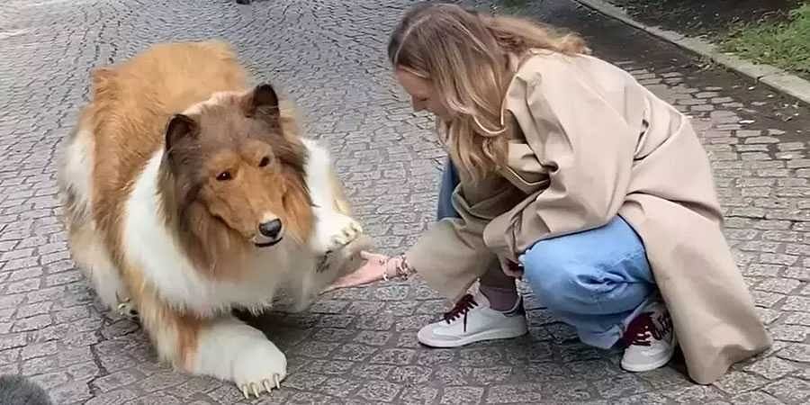 Viral Video: Rs 12 lakh to look like a dog A spent Japanese man