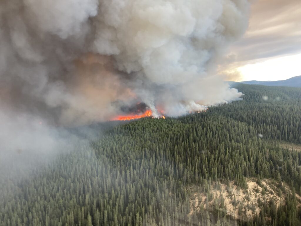 wildfire Canada