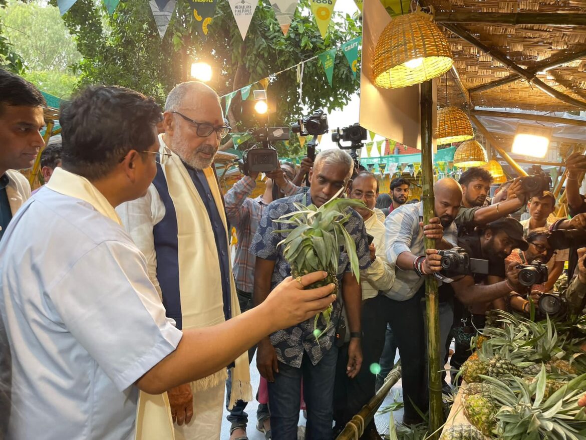 Pineapples from Meghalaya Shine with Recognised on Global